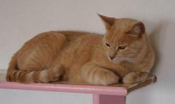 Mabelle Bild von Mabelle