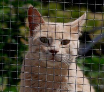 Mabelle Bild von Mabelle