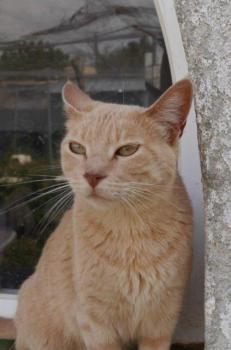 Mabelle Bild von Mabelle