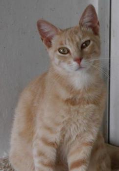 Mabelle Bild von Mabelle