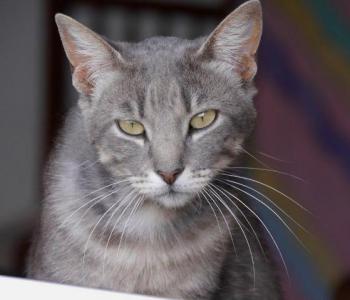 Phill Bild von Phill