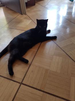 Anja Bild von Anja