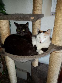 Anja Bild von Anja