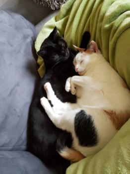 Anja Bild von Anja