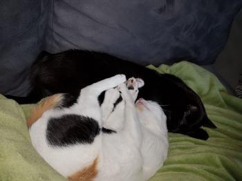 Anja Bild von Anja