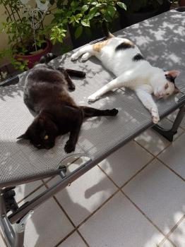 Anja Bild von Anja