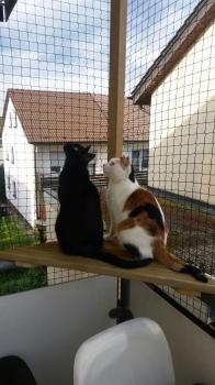 Anja Bild von Anja