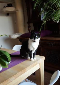 Jina Bild von Jina