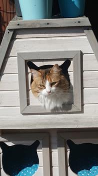 Txita Bild von Txita