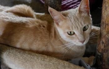 Mabelle Bild von Mabelle