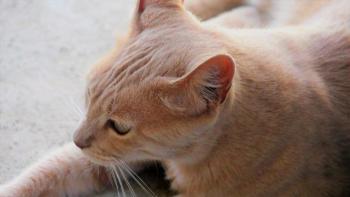 Mabelle Bild von Mabelle