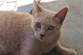 Mabelle Bild von Mabelle