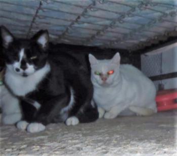 Nathan Bild von Nathan