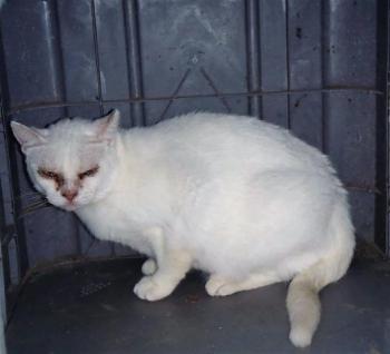 Nathan Bild von Nathan