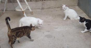 Nathan Bild von Nathan