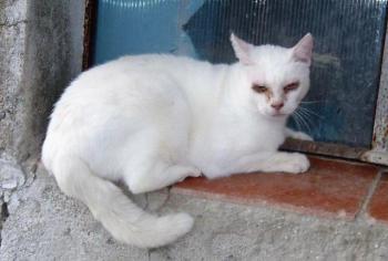 Nathan Bild von Nathan