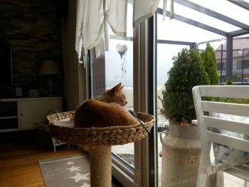 Mabelle Bild von Mabelle