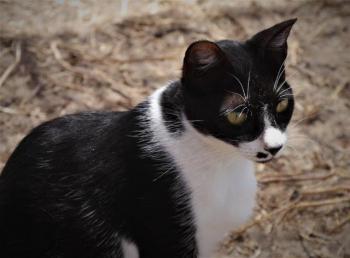 Bascha Bild von Bascha