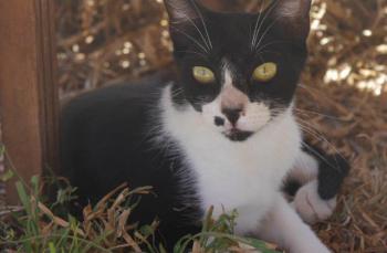 Bascha Bild von Bascha