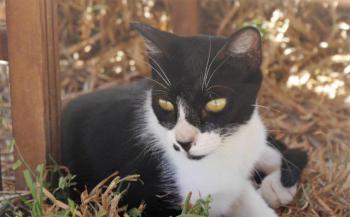 Bascha Bild von Bascha