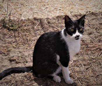 Bascha Bild von Bascha