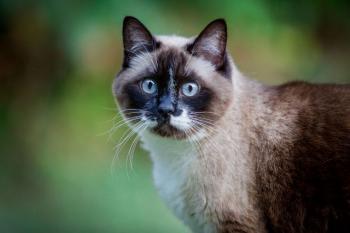 Nora Bild von Nora