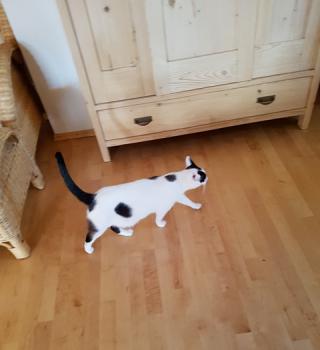 Bronte Bild von Bronte