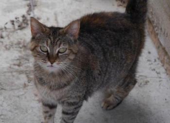 Hannah Bild von Hannah