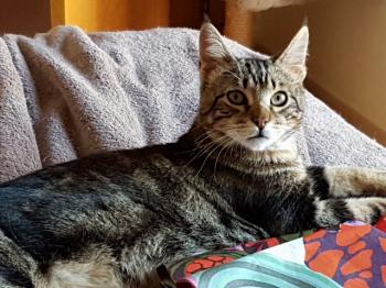 Milu Bild von Milu