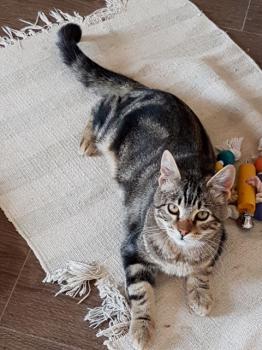 Milu Bild von Milu