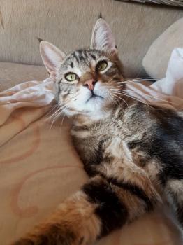 Milu Bild von Milu