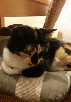Irina Bild von Irina