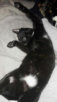Flo Bild von Flo