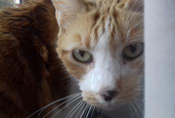 Rubi Bild von Rubi