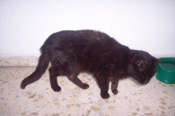 Paco Bild von Paco