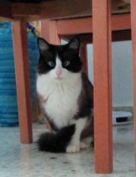Afrodita Bild von Afrodita