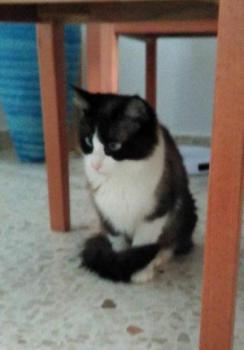 Afrodita Bild von Afrodita
