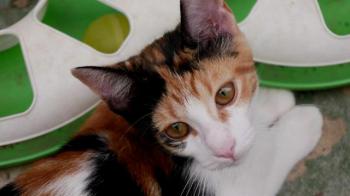 Neele Bild von Neele