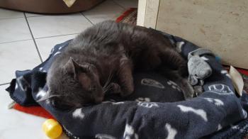 Ivan Bild von Ivan