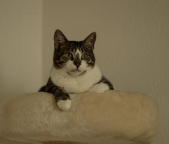 Tonetti Bild von Tonetti