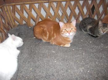 Mingy Bild von Mingy