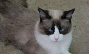 Afrodita Bild von Afrodita