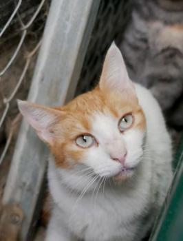 Salomé Bild von Salomé