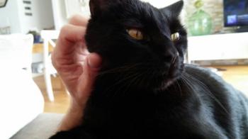 Miki Bild von Miki