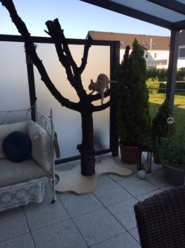 Mabelle Bild von Mabelle