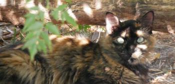 Bild von Sharleen
