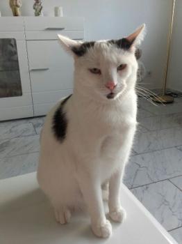 Daisy Bild von Daisy