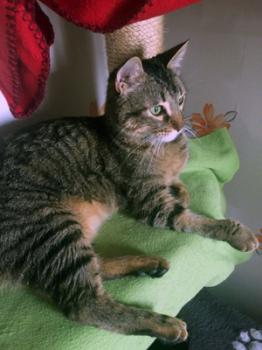 Lenny Bild von Lenny