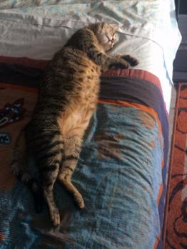 Lenny Bild von Lenny