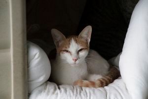 Romina Bild von Romina